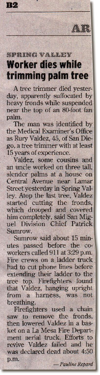 Rury Valdez dies while trimming palm tree - San Diego tree trimming